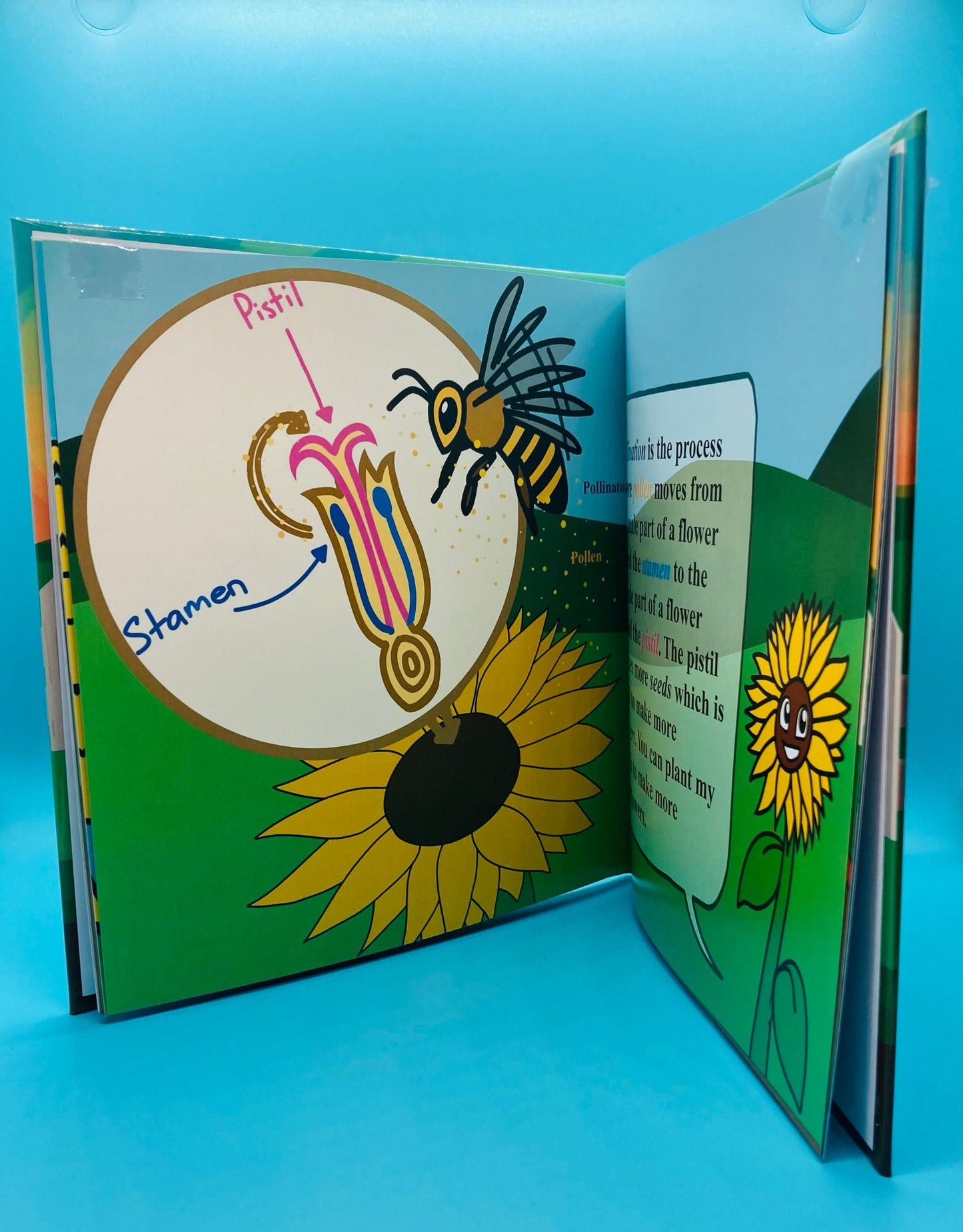 The Golden Life of Sally Sunflower Children's Science Book