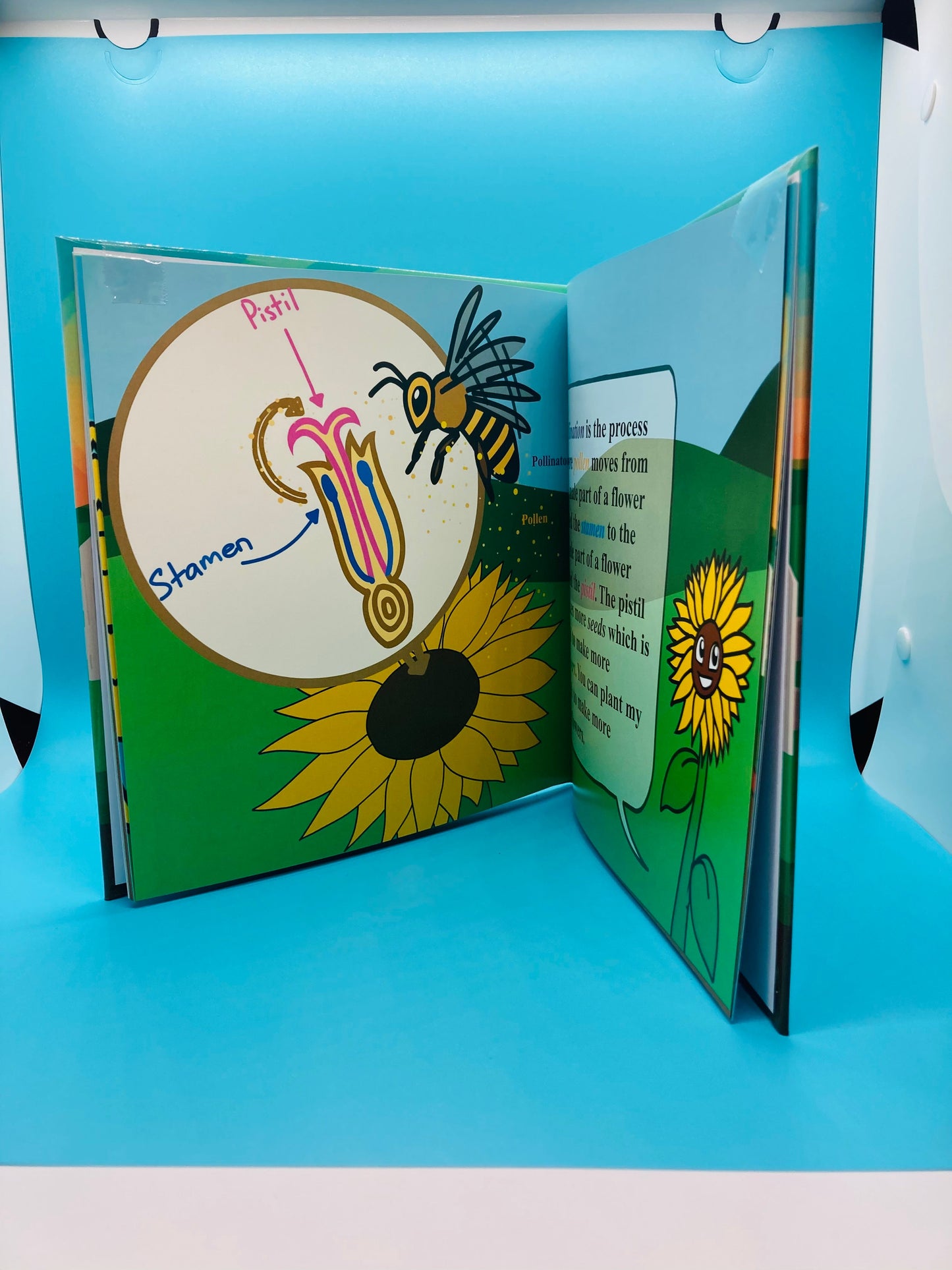 Dancing Sunflower Plush Toy & Book Bundle