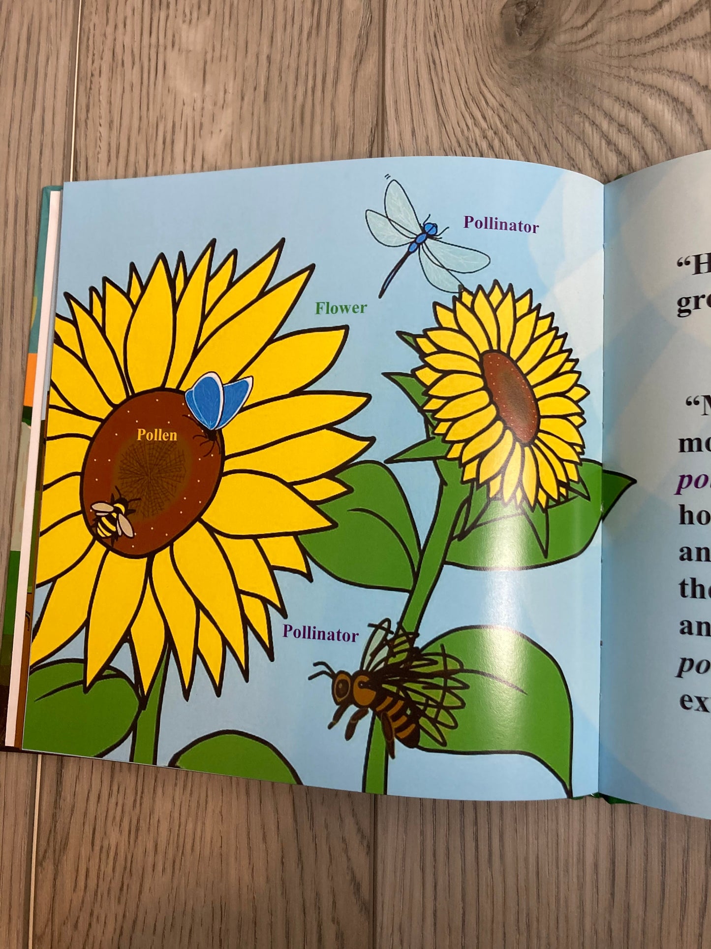 Dancing Sunflower Plush Toy & Book Bundle